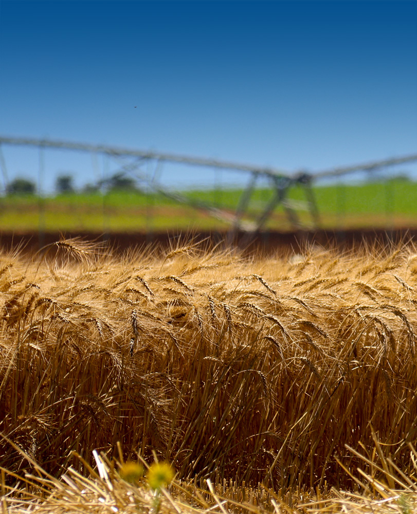 Droogfontein-Commercial_Ventures-Agriculture-Irrigation-01